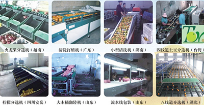 臺(tái)灣選果機(jī)